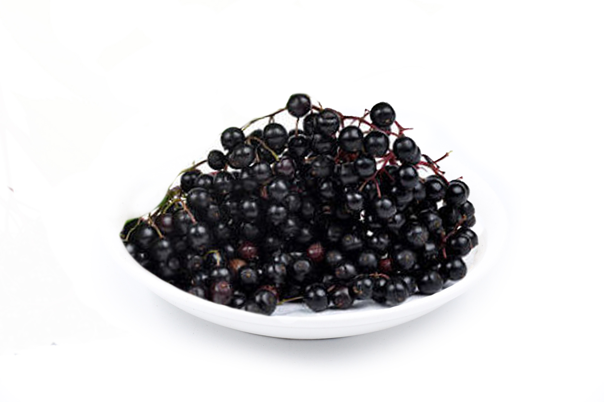 Black Elderberry Extract 