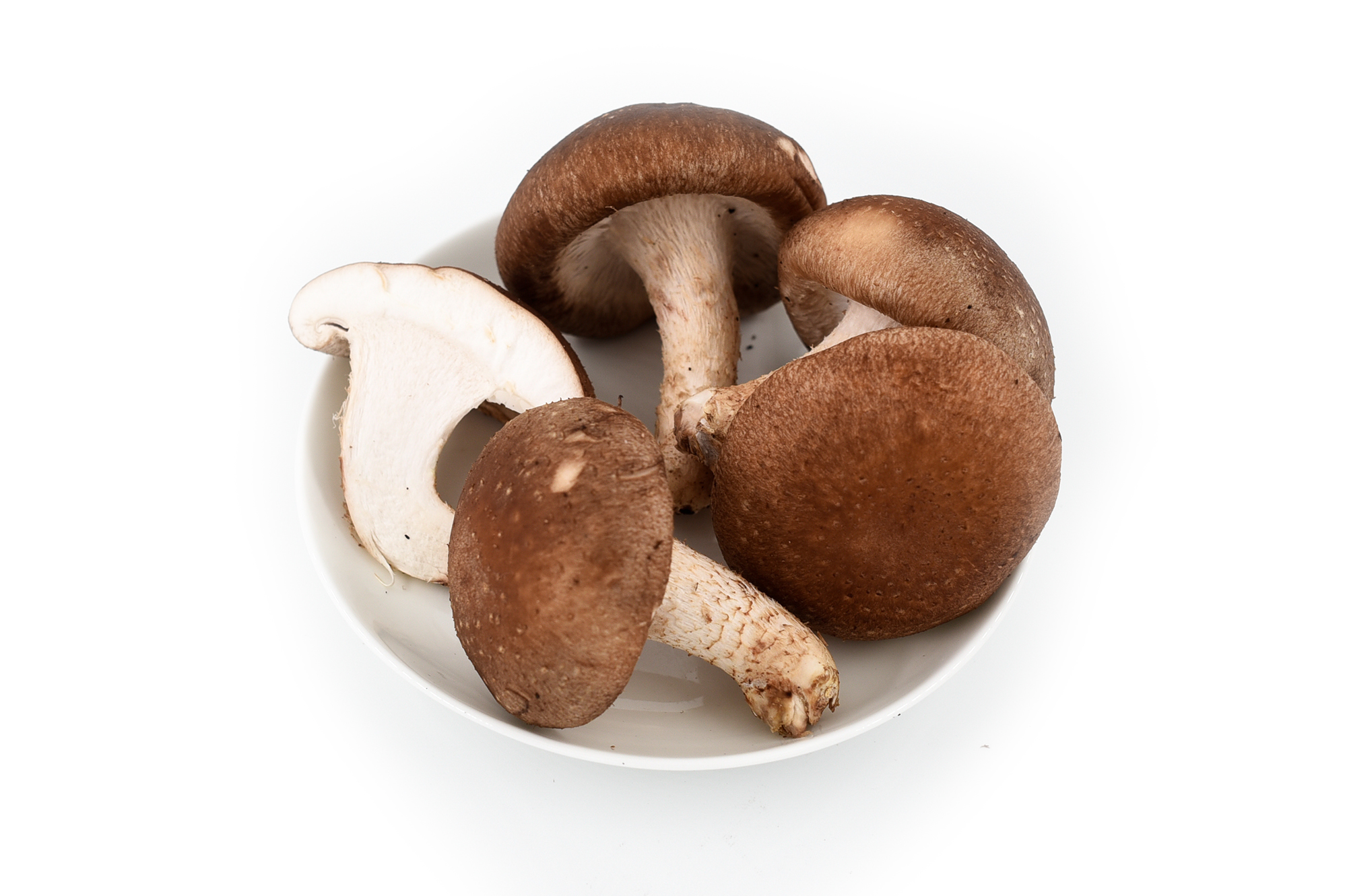 Shiitake Mushroom Extract