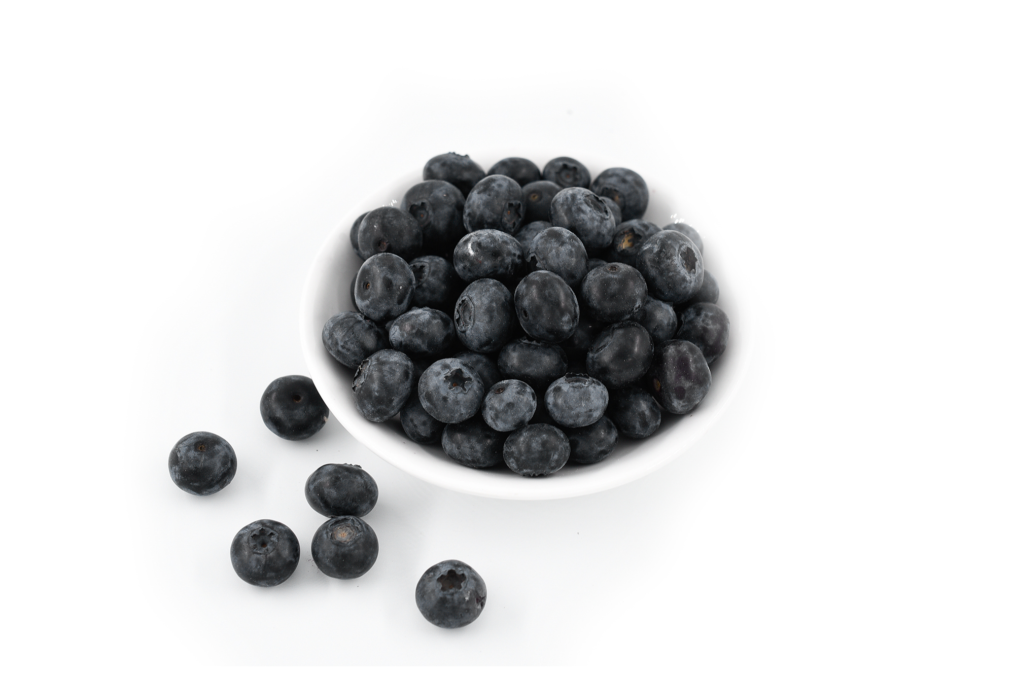 Bilberry Extract